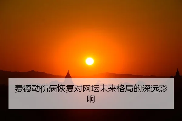 费德勒伤病恢复对网坛未来格局的深远影响